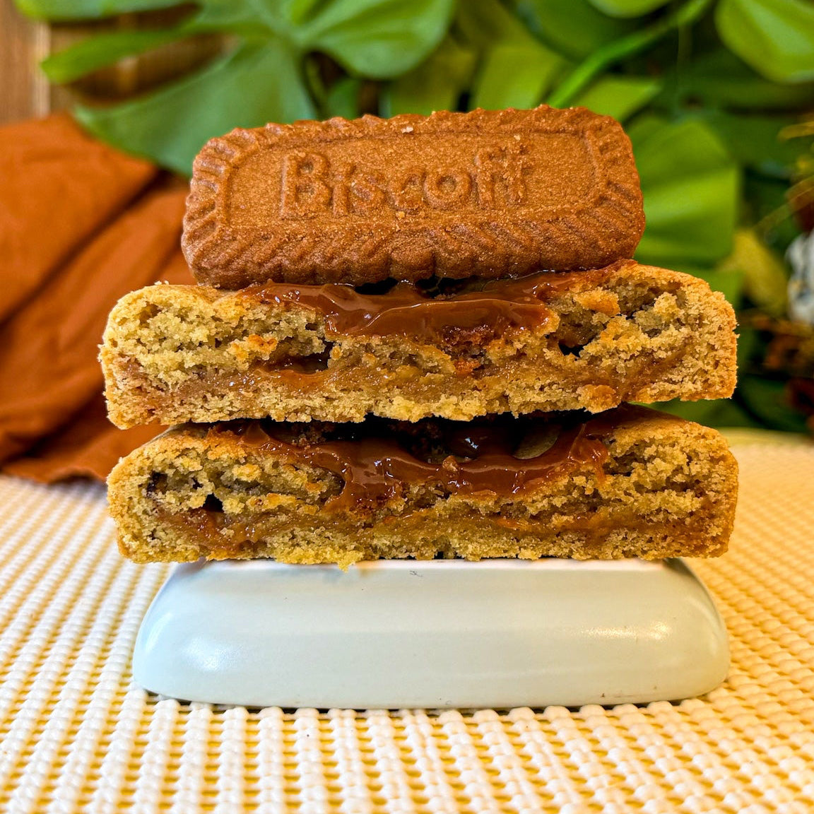 Cookie speculoos Biscoff